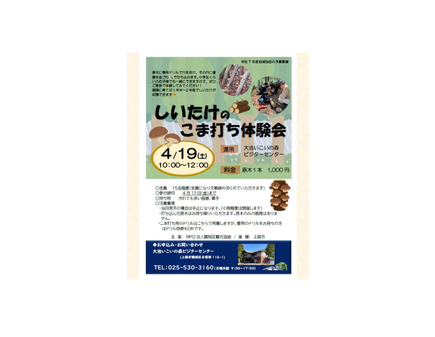 しいたけのこま打ち体験会 大池いこいの森ビジターセンター 2025年4月19日