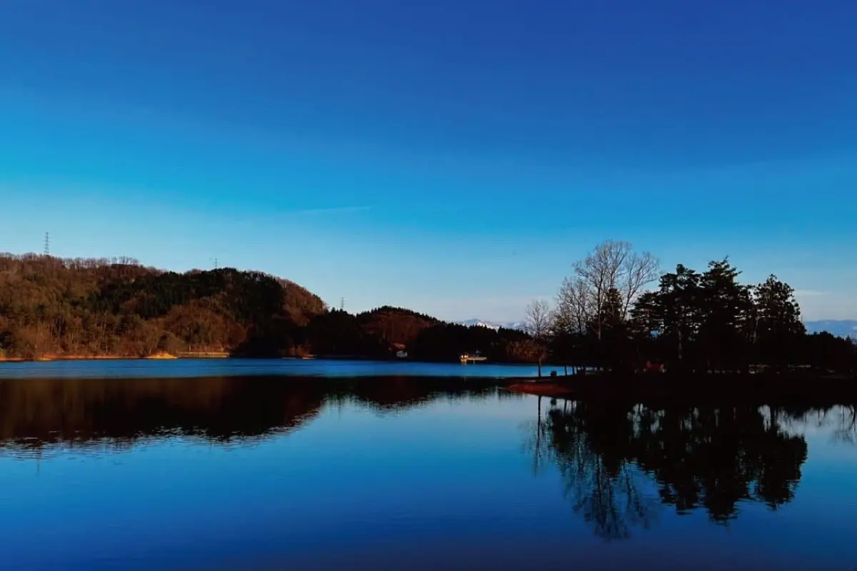 大池いこいの森