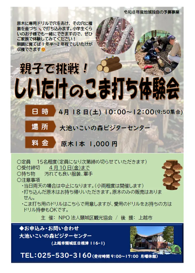 20260418しいたけ駒打ち体験チラシ