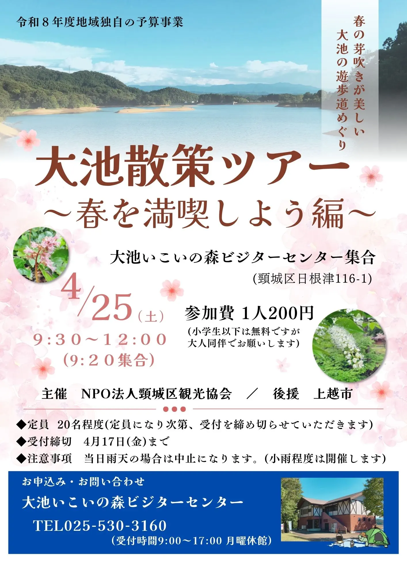 20260425春を満喫しようチラシ