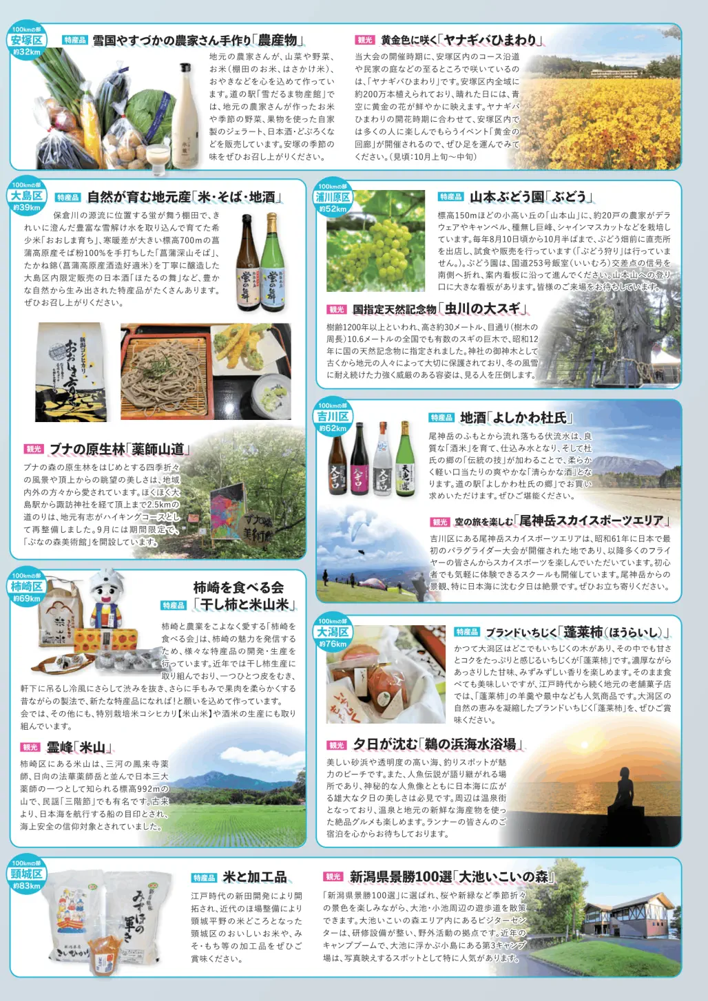 第16回えちご・くびき野100kmマラソン